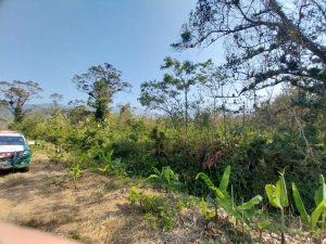 WhatsApp Image 2023-08-25 at 08.46.33