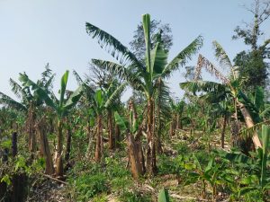 WhatsApp Image 2023-08-25 at 08.46.34