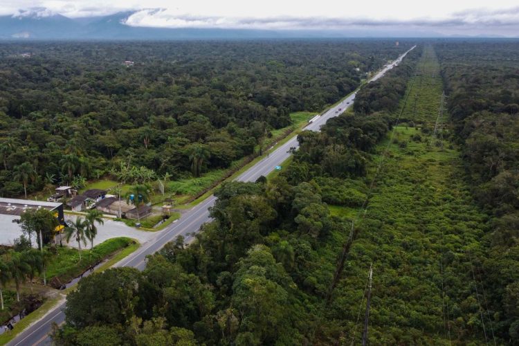 Pedágio no Paraná: lote 2 prevê melhorias na BR-277 sentido litoral