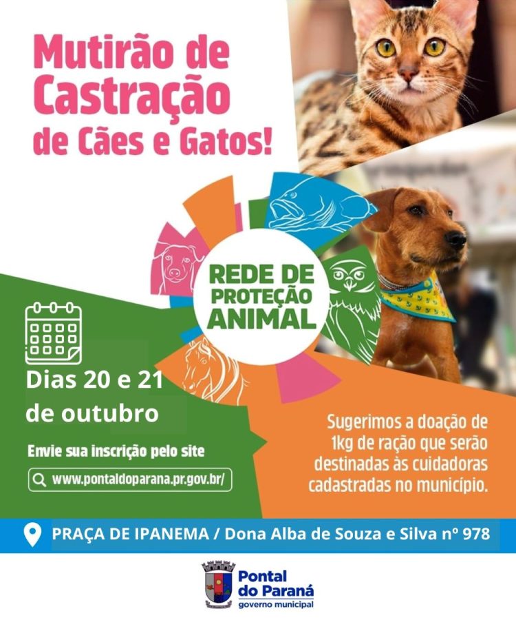 mutirão castração caes e gatos Pontal do Parana