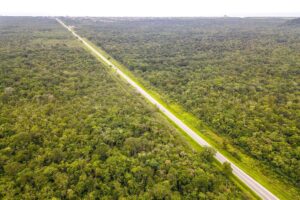 pr-412_guaratuba_a_santa_catarina_01