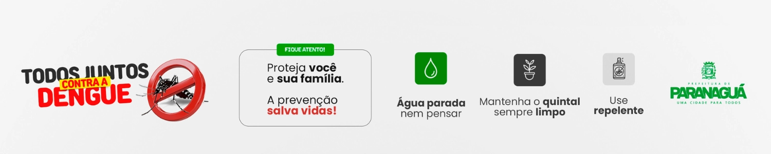 Paranaguá todos contra a dengue maio 25